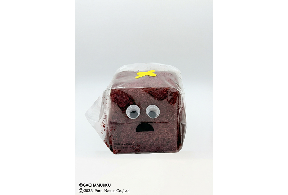 ムックの玄米ベリーココブレッド